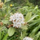 달래농장 이미지