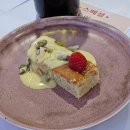 뮤지엄호두 MUSEUM HODU | 호주 시드니 노랑풍선 패키지 4박6일 Day4. 오페라하우스 ~ 디너 선셋 크루즈