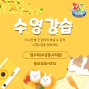 망고키즈수영장(사직점) 이미지