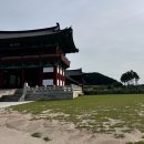[경주 뚜벅이 여행🌻] 3일차 여행코스 3탄 : 사진 잘 나오는 교촌한옥마을, 최부자댁 이야기와 시원한...