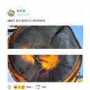 아내의 요리를 자랑하는 유명 웹툰 작가 이미지