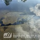 삼양동선사유적 이미지