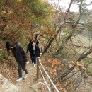 양명여자고등학교 이미지