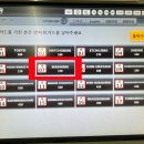 [공지] 도쿄 디즈니랜드 디즈니씨 차이 티켓 가는 법 꿀팁 오픈런