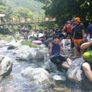 아지트(AZT) 이미지