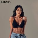 알브이디핏 PT 이미지