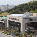 팜블리네 이미지
