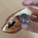 카페캔슈