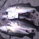 기도원 맞은편 이미지