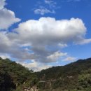 남대천황가네매운탕 이미지