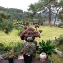 금수산펜션 이미지