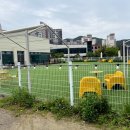 펫프닝 타운 이미지