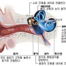 구침가한의원 이미지