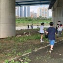 다산한강초등학교 이미지