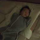 5959 내강아지 이미지