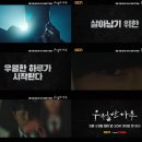 우월 티브이데일리