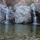죽림산방