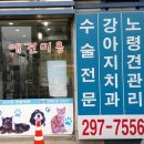 서수원동물병원 네이버블로그