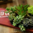 고수해마루작은도서관 이미지