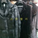 스타명품세탁 이미지