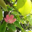 지당목장 이미지