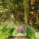 북천꽃단지 이미지