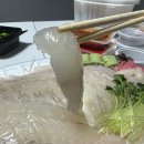 싱싱회마니