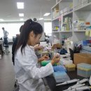 바이오닉스 이미지