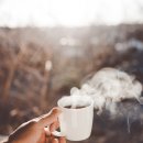 노노공인중개사사무소 이미지