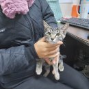 정몽주로 이미지