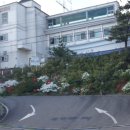 산타펜션 - 거창군 덕거길 65 | 산타펜션
