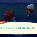 섬바다향기 이미지