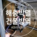 해충박멸업체 코리아24시 건물방역 후기