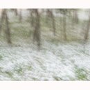 꿈의화원 이미지