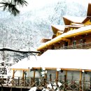 노블벨리 이미지