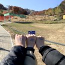 평창 휘닉스파크 리조트 올인클루시브로 알차게 1박 2일 : 셔틀버스 / 휘닉스평창콘도 / 루지 / 조식...
