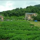 함양농장 이미지