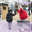 명문푸드(에스비타워) | 히로시마여행1 원폭돔 원폭박물관 게이트파크 리가로얄호텔 논타스시