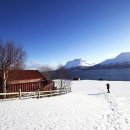 서정적인 이미지