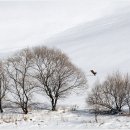 서현한우농장 이미지