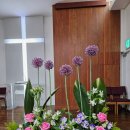 김선자 농장 이미지