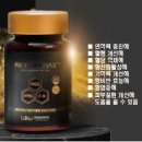 파낙스바이오주식회사 네이버블로그