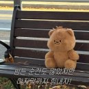 📍판교현대백화점 2025년 크리스마스 마켓 찐 후기!♥️⛄️🤎⛄️(무료 셀프 포토스튜디오)