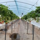 탑산농장 이미지