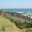 수민목장 이미지