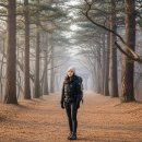 속리산둘레길 보은길4 | 속리산 둘레길 보은길 12월 힐링 트레킹 말티재 전망대 코스