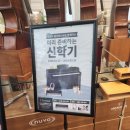 피스뮤직 | 피아노 성지 평택 피스뮤직 (디지털피아노 구입 후기,내돈내산)