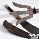 원광대학교 박물관 이미지