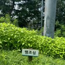 [강원도 횡성]현대홈쇼핑패키지 웰리힐리파크 스탠다드B형침대 웰리힐리즐기거리 곤돌라 루지 후기