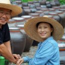 김영구농장 이미지